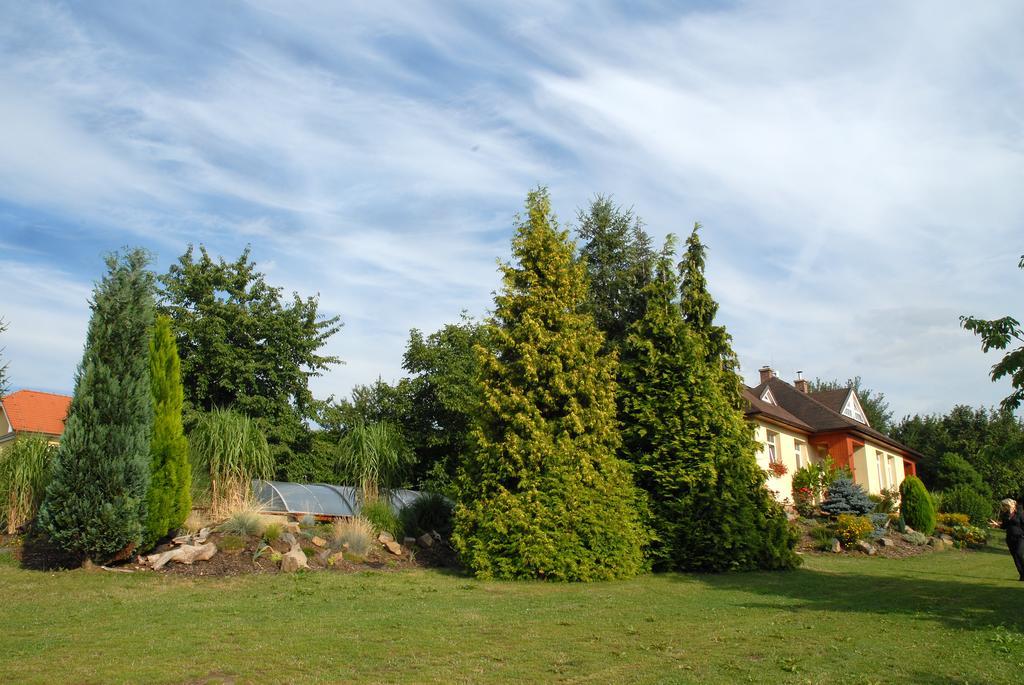 Ubytovani Vila Sobotka Exterior photo